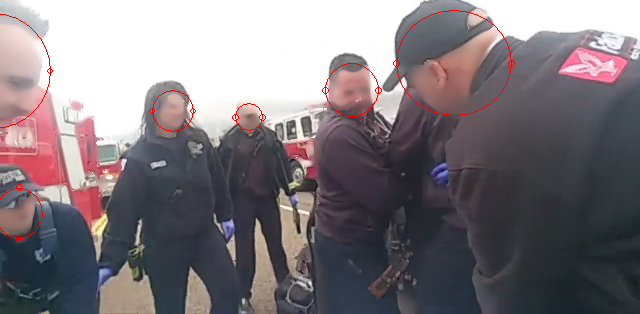 Forensic video analysis